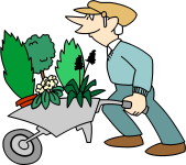 Làm vườn, clean up, đổ rác